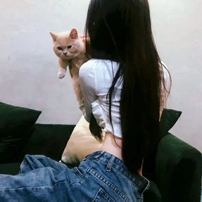 失踪宝贝